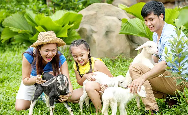 vườn thú safari phú quốc