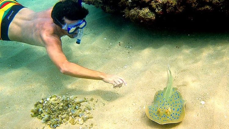 Tour du lịch Phú Quốc 4 ngày 3 đêm (4N3D) Tour du lịch Phú Quốc 4 ngày 3 đêm (4N3D)