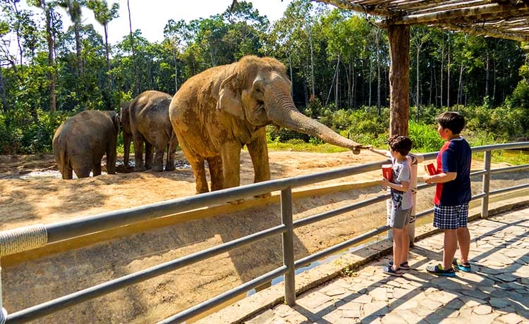 Tour du lịch Phú Quốc 4 ngày 3 đêm (4N3D) Tour du lịch Phú Quốc 4 ngày 3 đêm (4N3D)