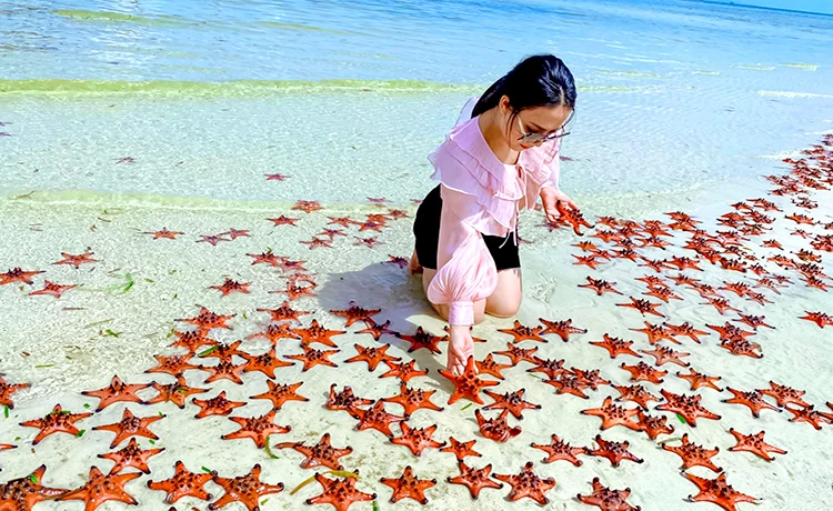 Tour du lịch Phú Quốc 4 ngày 3 đêm (4N3D) Tour du lịch Phú Quốc 4 ngày 3 đêm (4N3D)