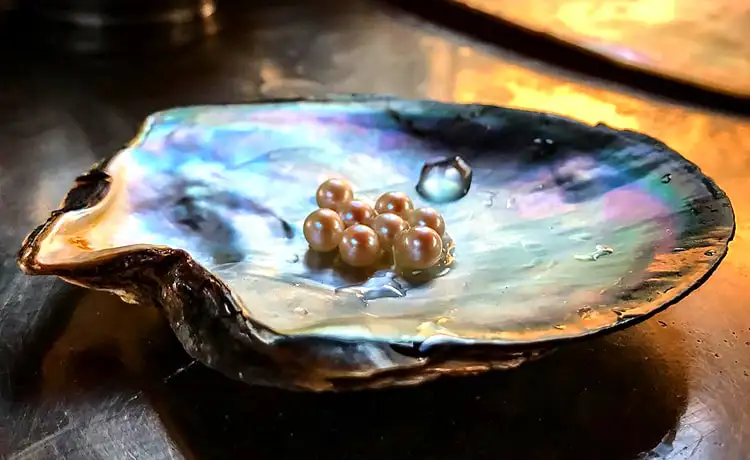 ngọc trai phú quốc