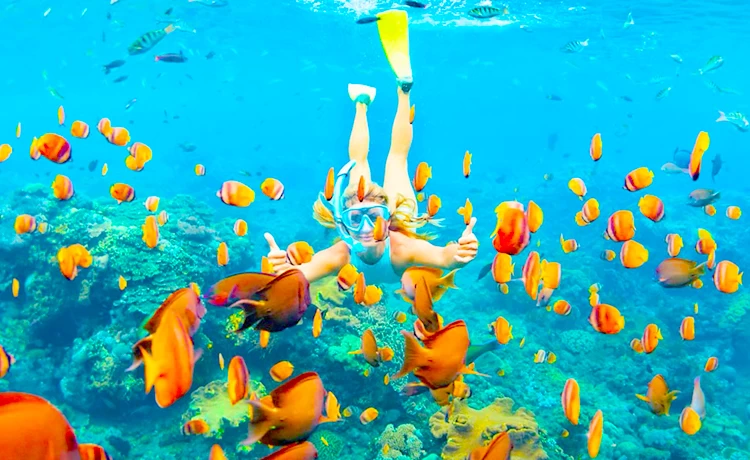 Tour Câu cá - Lặn ngắm san hô Bắc đảo Phú Quốc trong ngày