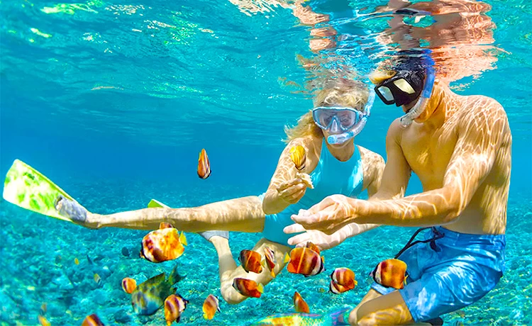 Tour Câu cá - Lặn ngắm san hô Bắc đảo Phú Quốc trong ngày