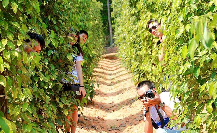 Tour Câu cá - Lặn ngắm san hô Nam đảo Phú Quốc trong ngày