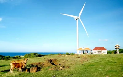 Tour du lịch Phú Quý 2 ngày 1 đêm