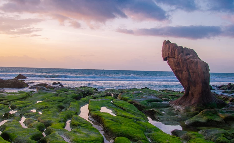 Tour du lịch Phú Quý 2 ngày 1 đêm