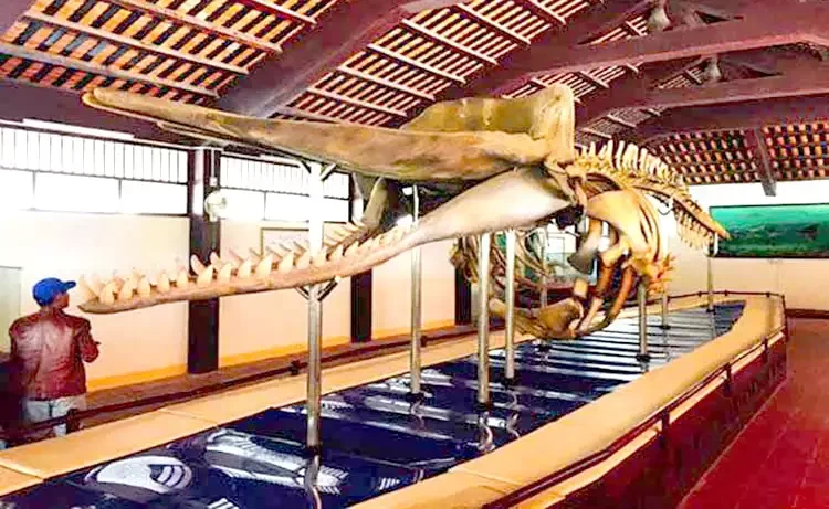 Tour du lịch Phú Quý 3 ngày 2 đêm