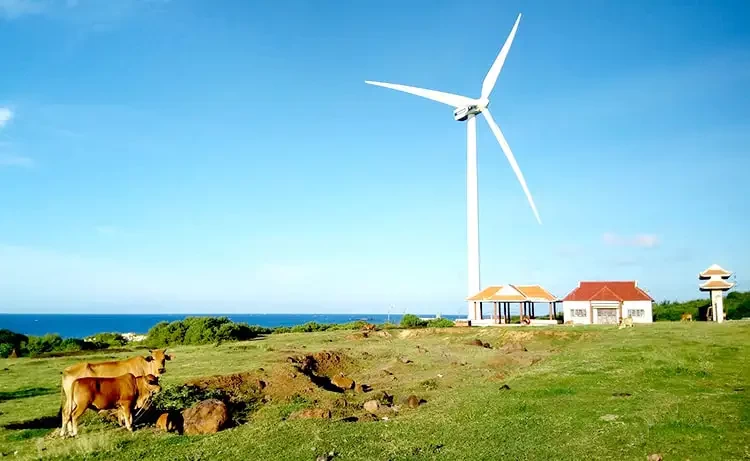 Tour du lịch Phú Quý 3 ngày 2 đêm