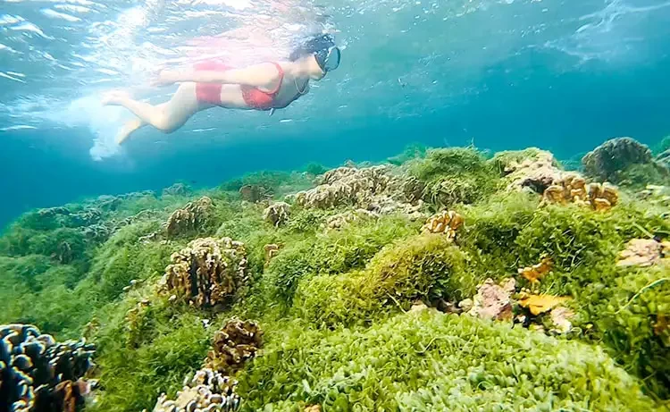 Tour du lịch Phú Quý 3 ngày 2 đêm