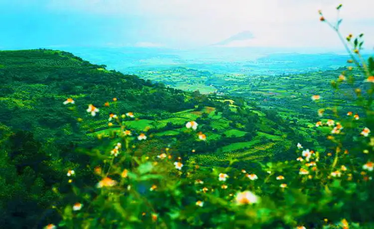 tour du lịch phú yên 4 ngày 3 đêm