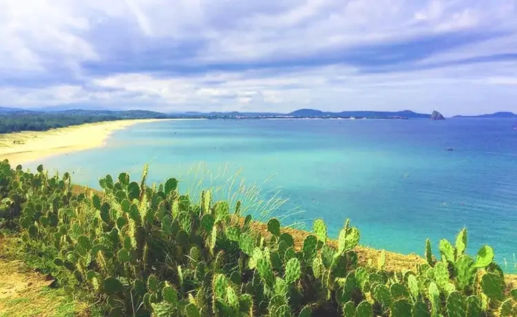 Tour du lịch Phú Yên 2 ngày 1 đêm