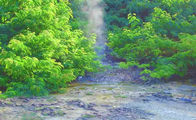 tour du lịch Phú Yên