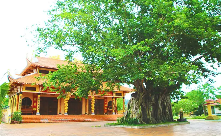 tour du lịch Phú Yên