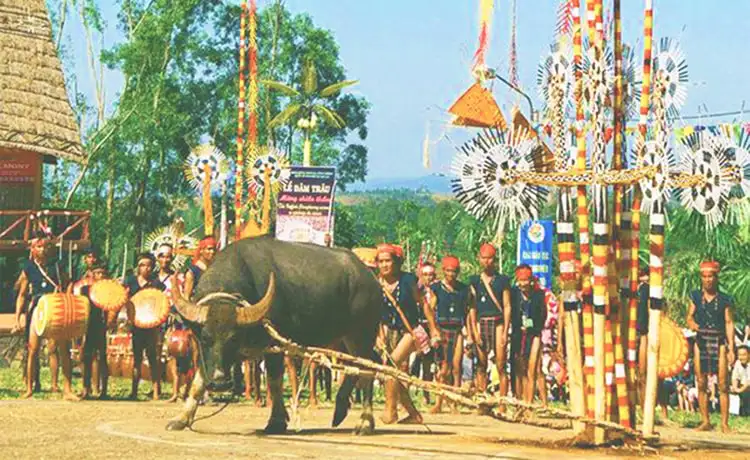 tour du lịch Phú Yên