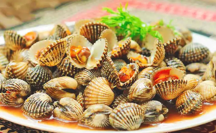 tour du lịch Phú Yên