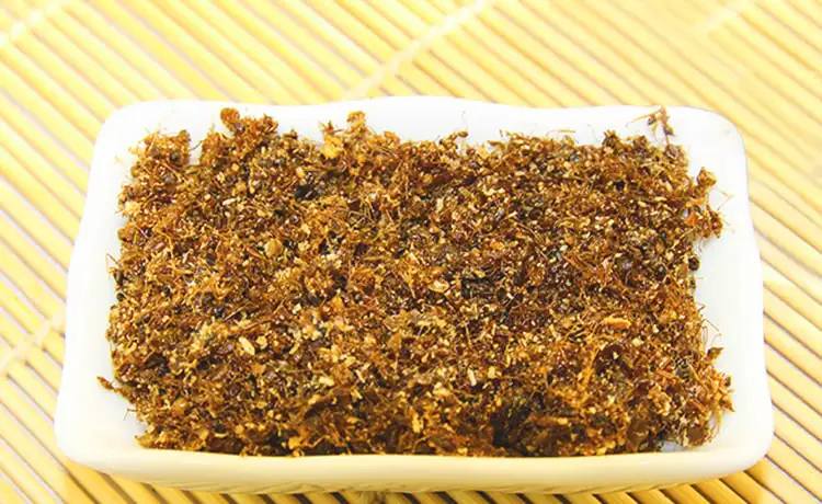 tour du lịch Phú Yên