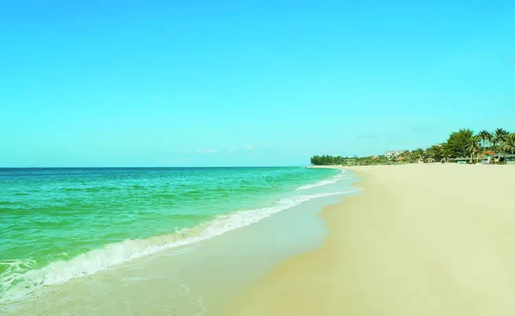 Tour du lịch Quy Nhơn 2 ngày 1 đêm Tour du lịch Quy Nhơn 2 ngày 1 đêm