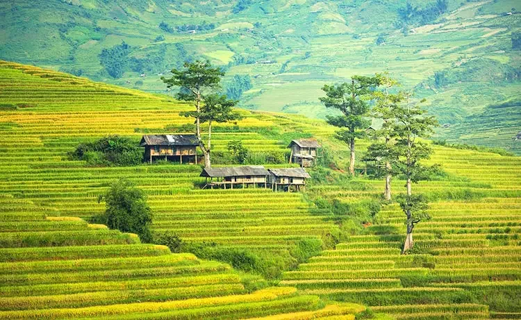 Tour du lịch Sapa 3 ngày 2 đêm