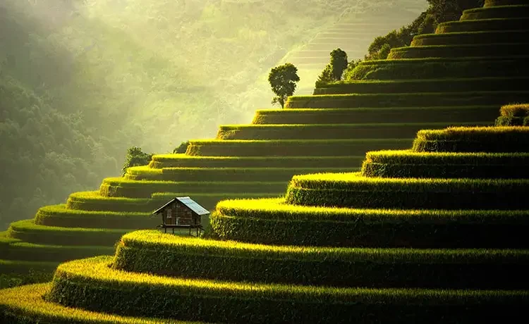Tour du lịch Sapa 4 ngày 3 đêm Tour du lịch Sapa 4 ngày 3 đêm