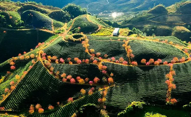 Tour du lịch Sapa 4 ngày 3 đêm Tour du lịch Sapa 4 ngày 3 đêm