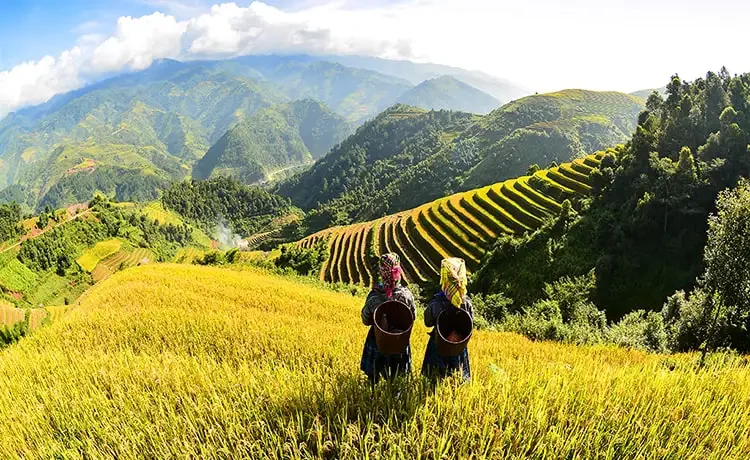 Tour du lịch Sapa 4 ngày 3 đêm Tour du lịch Sapa 4 ngày 3 đêm