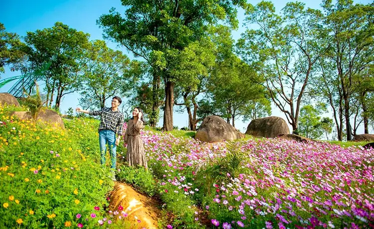 tour tây ninh 2 ngày 1 đêm tour tây ninh 2 ngày 1 đêm