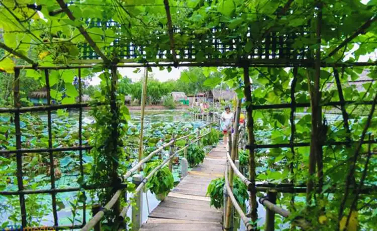 tour du lịch Tây Ninh