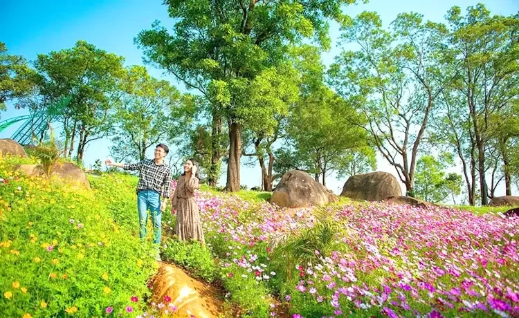 Tour du lịch Tây Ninh 3 ngày 2 đêm