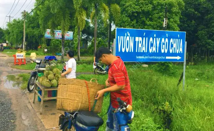 Vườn Trái Cây Gò Chùa - Địa Điểm Du Lịch Tây Ninh ®Hitour
