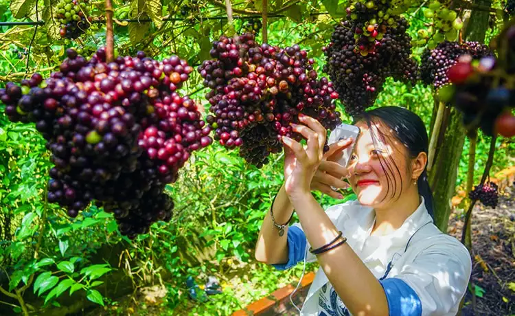 tour du lịch Tây Ninh