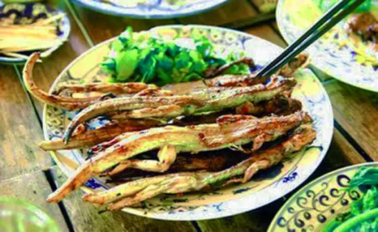 tour du lịch Tây Ninh tour du lịch Tây Ninh