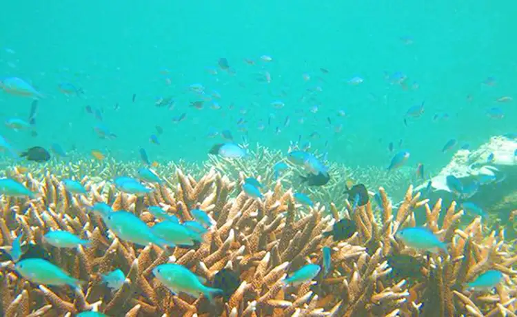 tour thổ chu 3 ngày 2 đêm