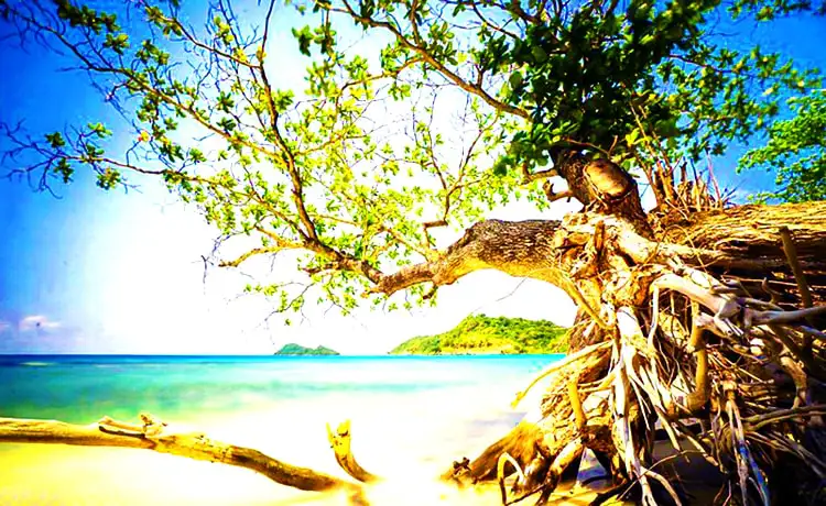 tour du lịch Thổ Chu