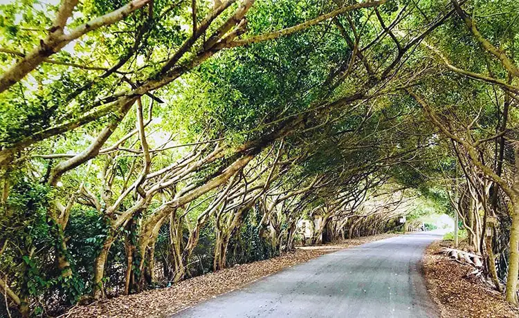 tour du lịch Tiền Giang