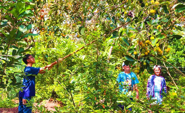 tour du lịch Tiền Giang