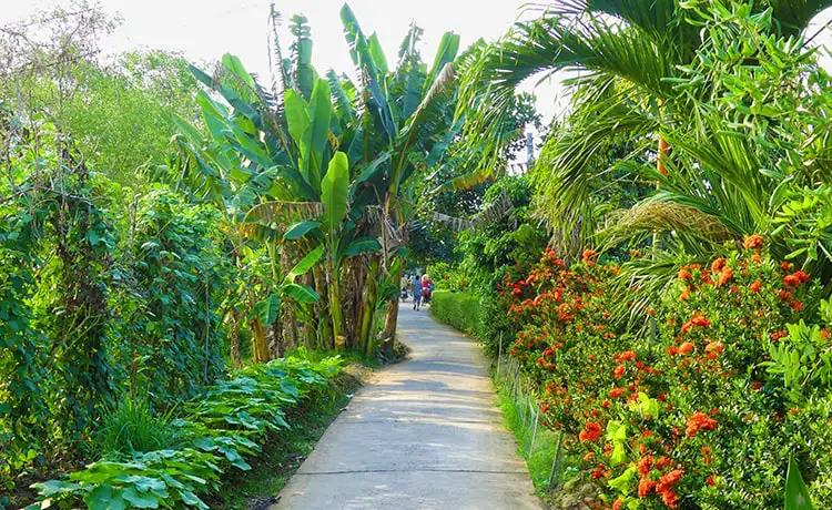 tour du lịch Tiền Giang