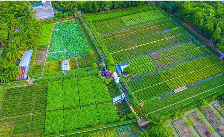 tour du lịch Tiền Giang