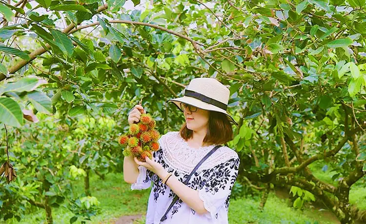 tour du lịch Tiền Giang