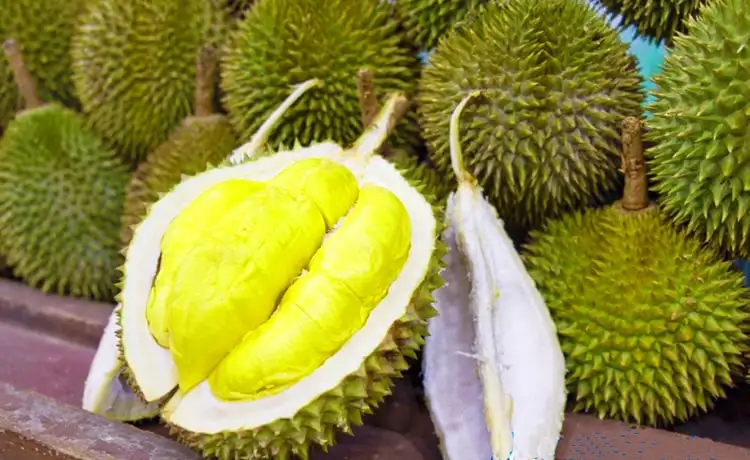 tour du lịch Tiền Giang