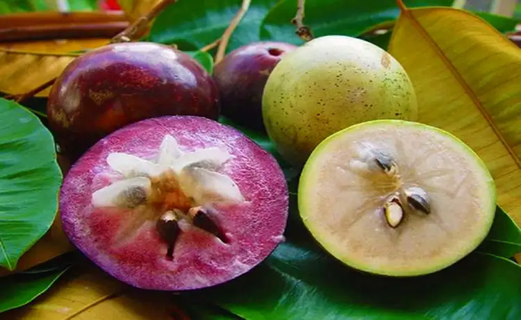 tour du lịch Tiền Giang