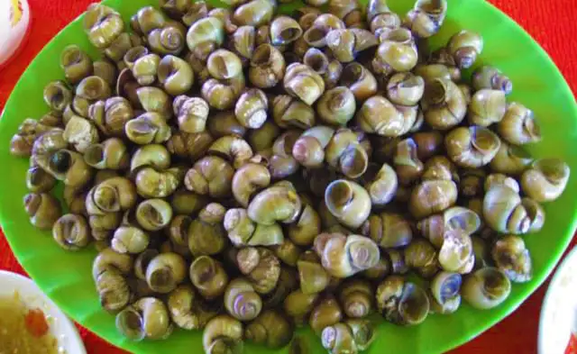 tour du lịch Tiền Giang