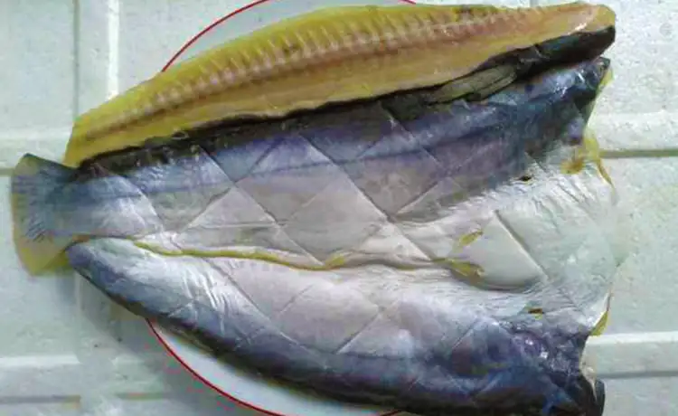 tour du lịch Tiền Giang