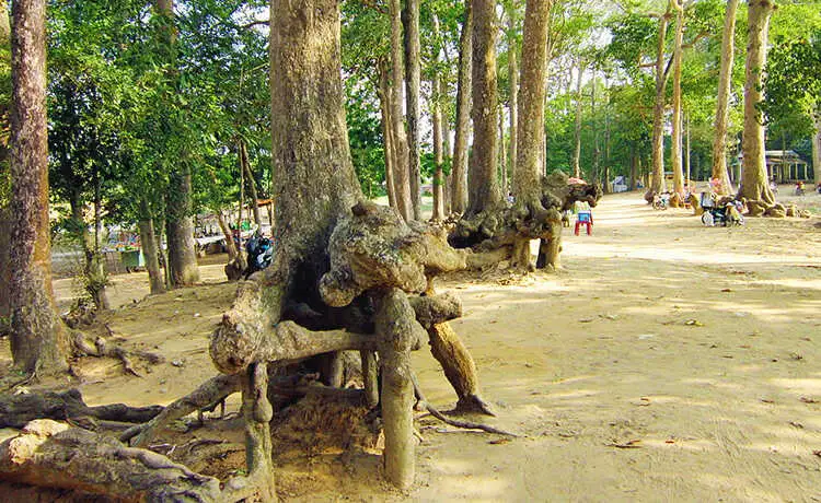 tour du lịch Trà Vinh