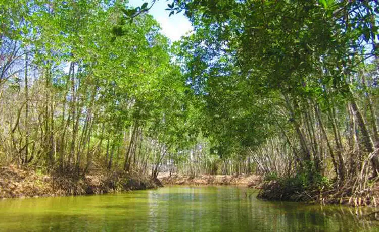 tour du lịch Trà Vinh