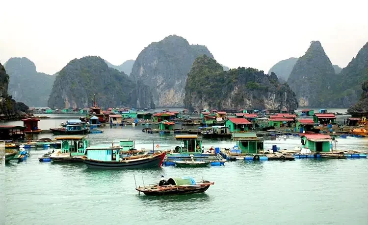 Tour du lịch Vịnh Hạ Long 2 ngày 1 đêm