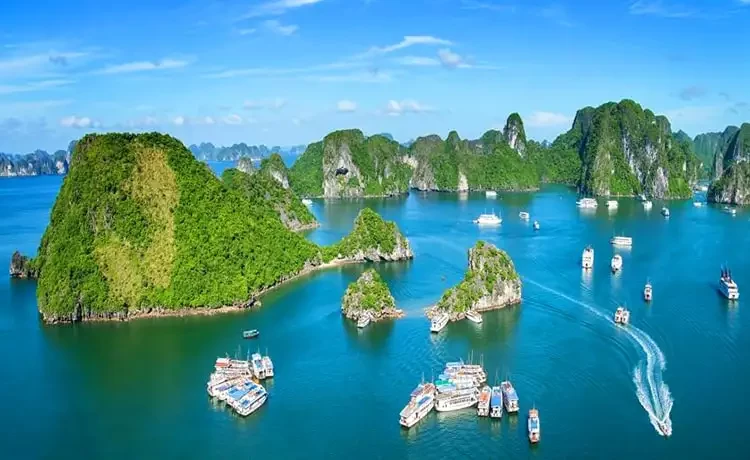 Tour du lịch Vịnh Hạ Long 3 ngày 2 đêm