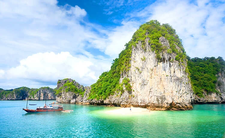 Tour Vịnh Hạ Long