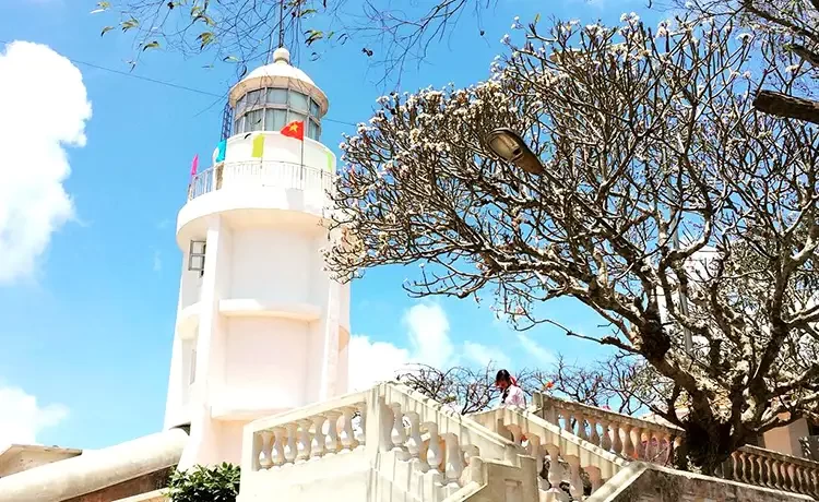 Tour du lịch Vũng Tàu trong ngày