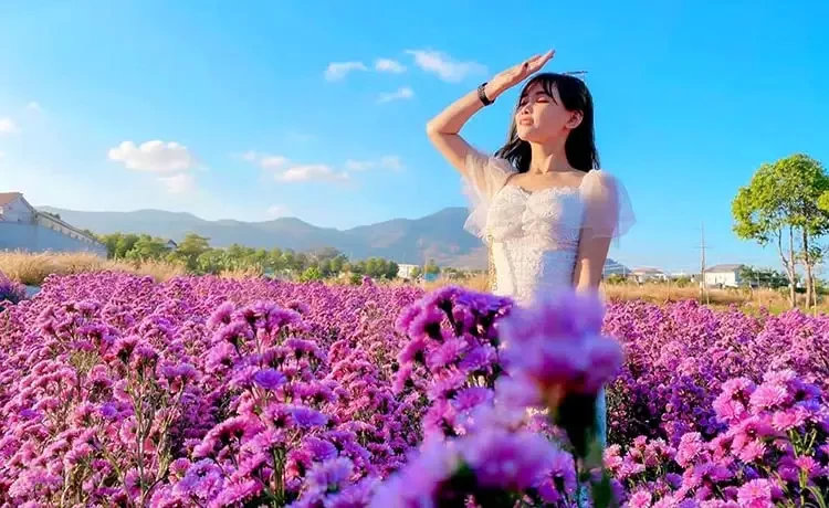 Tour du lịch Vũng Tàu trong ngày