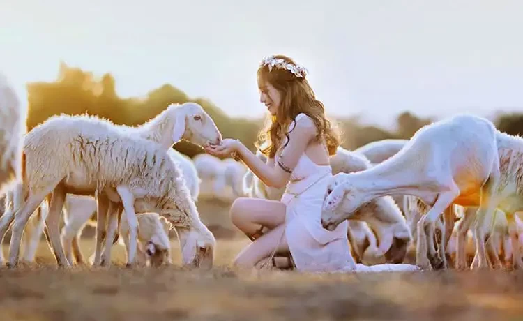 Tour du lịch Vũng Tàu trong ngày